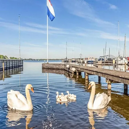 Vila Endearing At The Loosdrechtse Plassen *