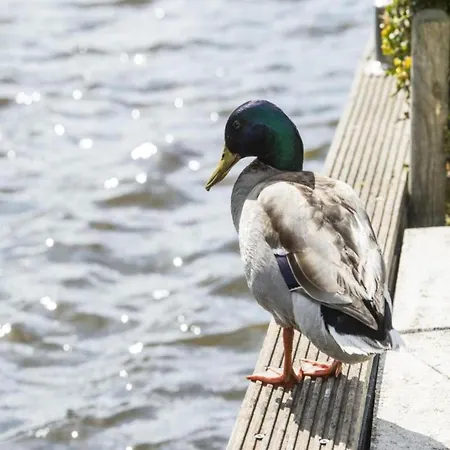 Endearing At The Loosdrechtse Plassen Villa Nieuw-Loosdrecht